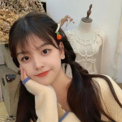 十二生肖城市英雄